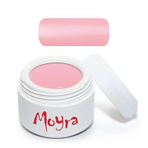 ARTISTIC PAINTING GEL Nº 11 - ROSA DE MOYRA