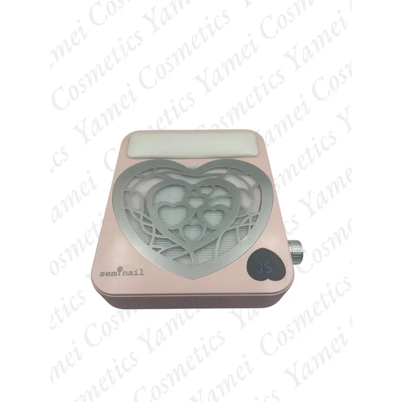 Aspirador Recargable C10 120W