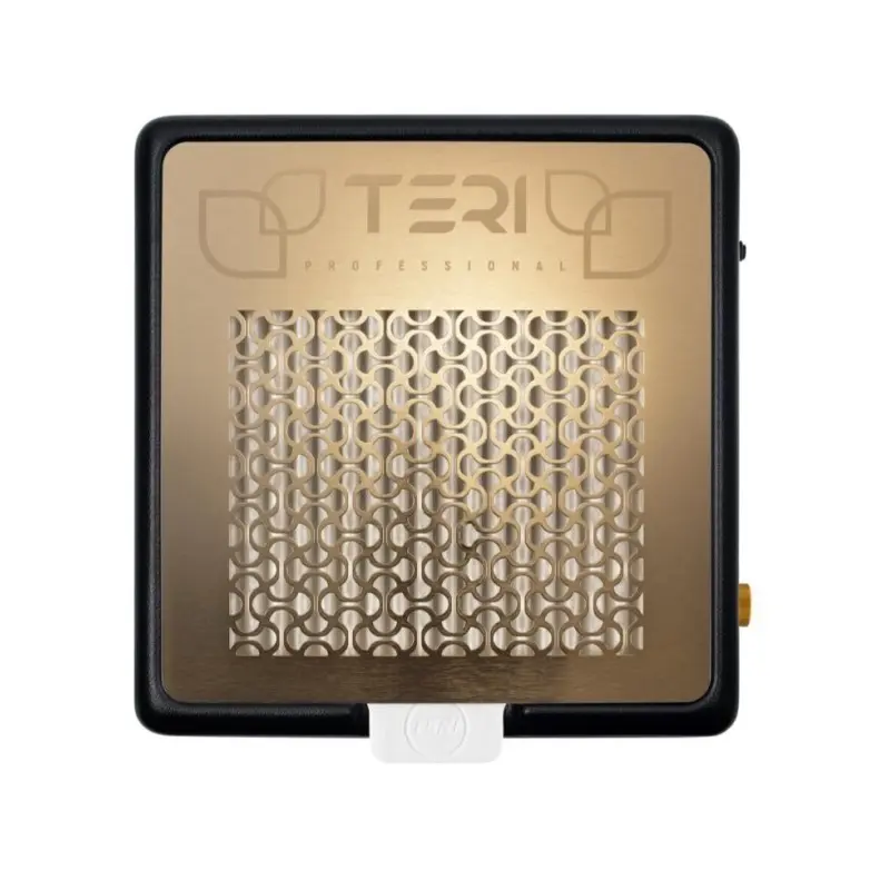 Aspirador Sobremesa 800M 80W Negro (Dorado o plateado) - TERI