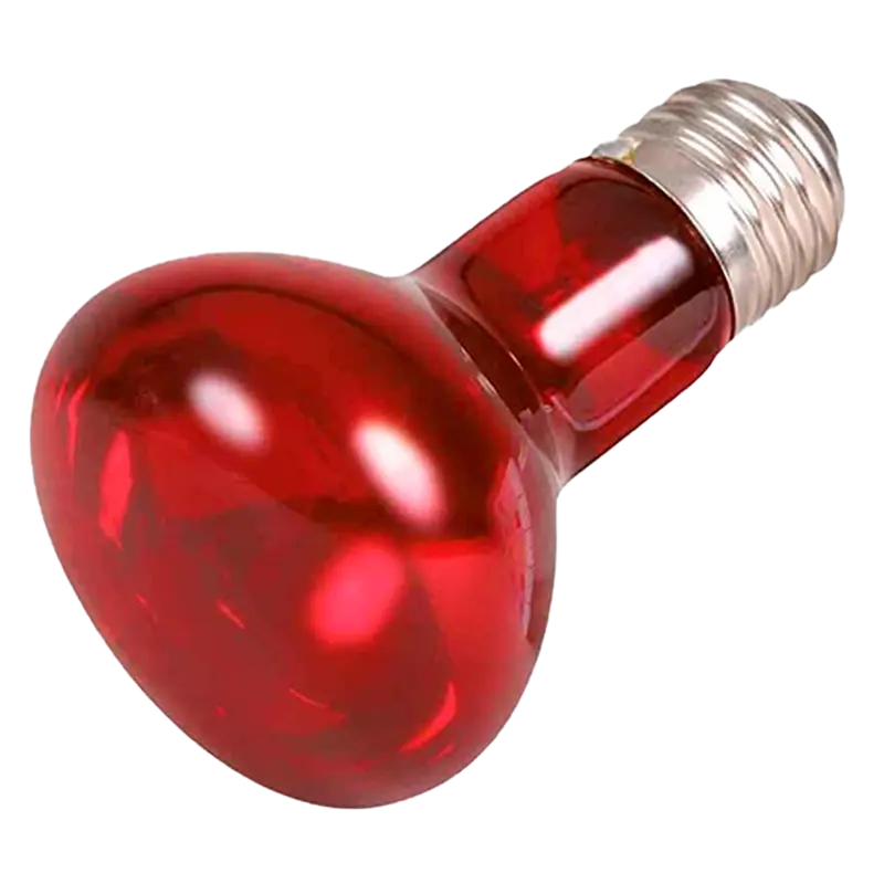 Bombilla de Calor con Luz Roja de 50W - Casquillo E27 para Tratamiento IBX System