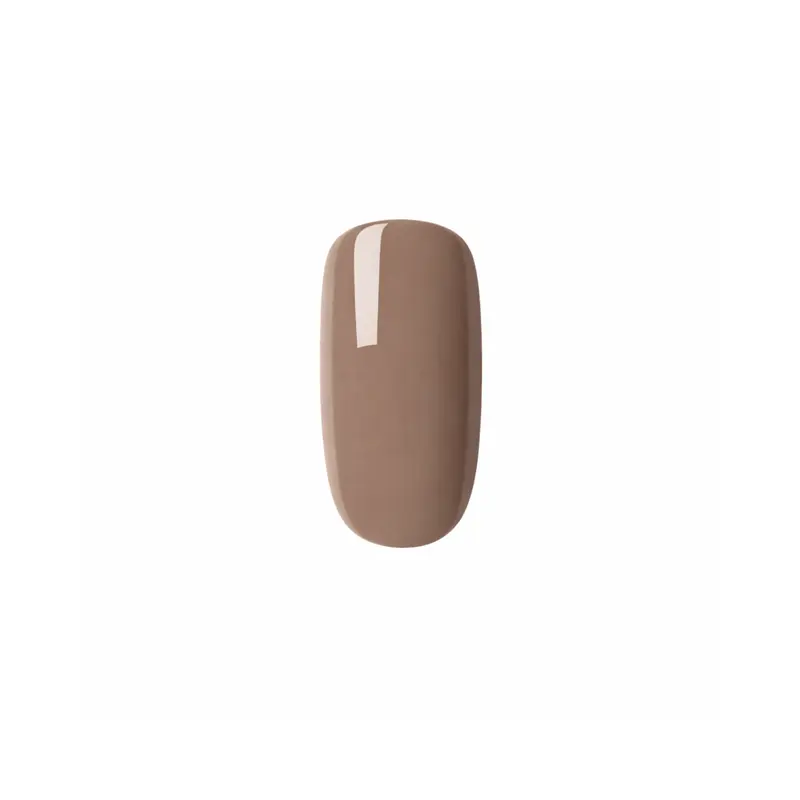 Elegant Taupe