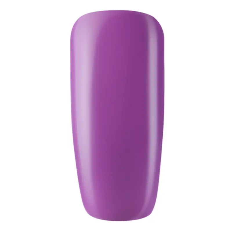 LUXIO ATTRACTION 131