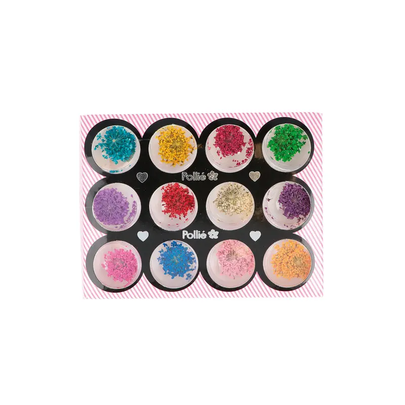 Naturaleza seca 12pcs