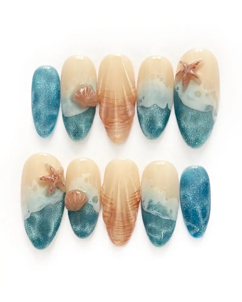Ocean Shells