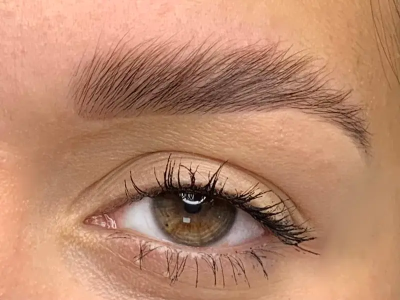 Taller Laminado De Cejas