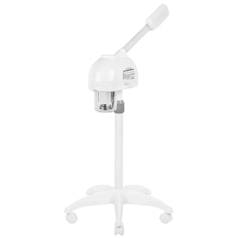 Vapozon with hot steam and ozone